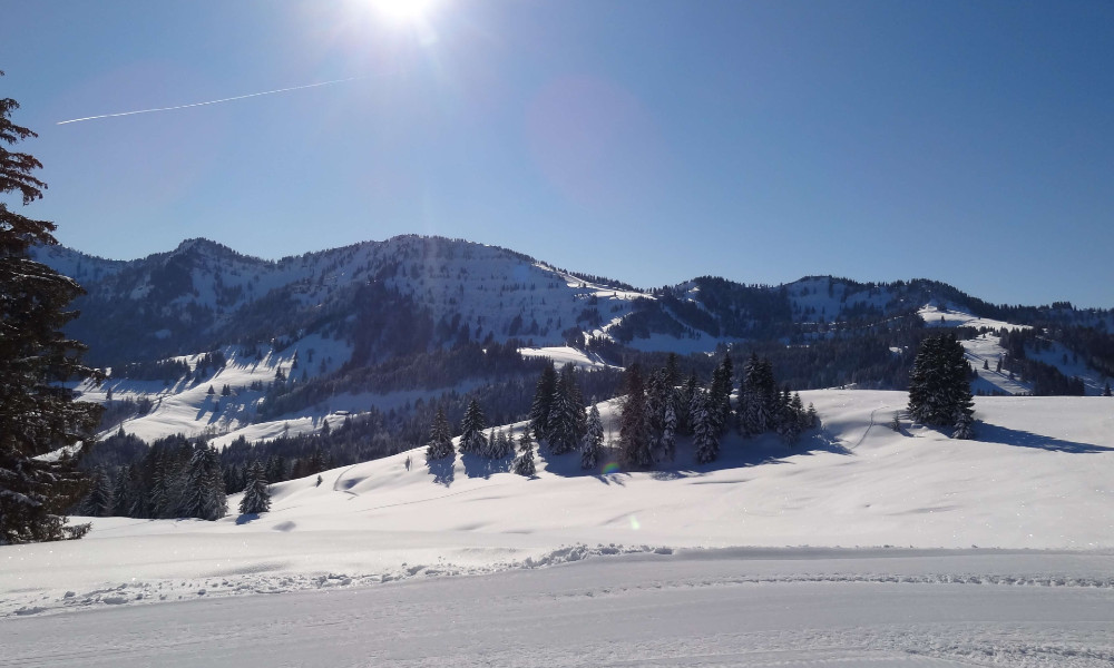 Maanbericht 20 dec 2025