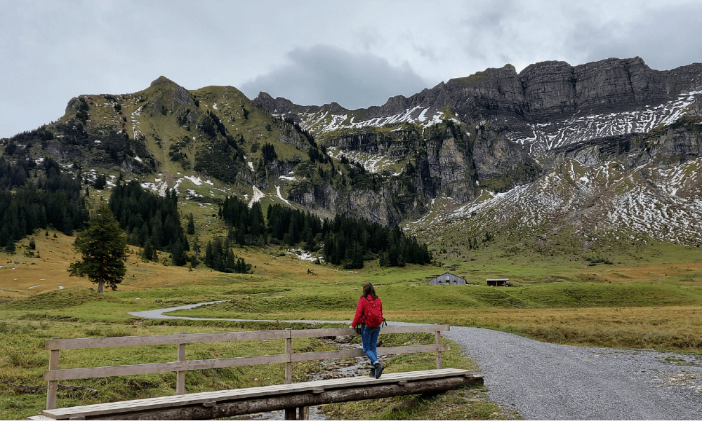 Maanbericht 5nov 2025